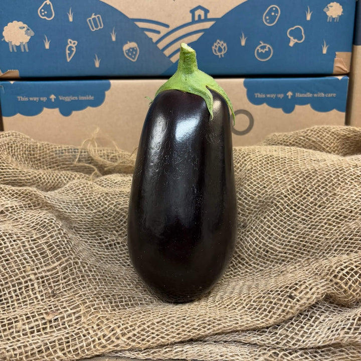 A single fresh aubergine.