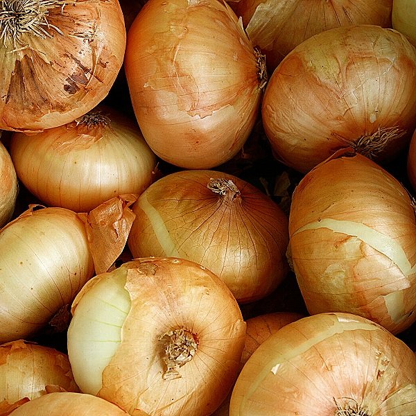 A closeup of brown onions.