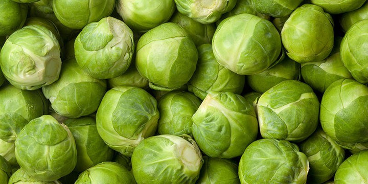 A closep of brussels sprouts.