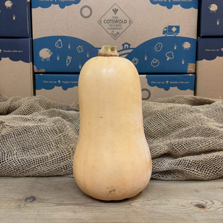 A large butternut squash.