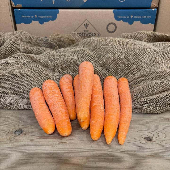 A bunch of fresh carrots. 