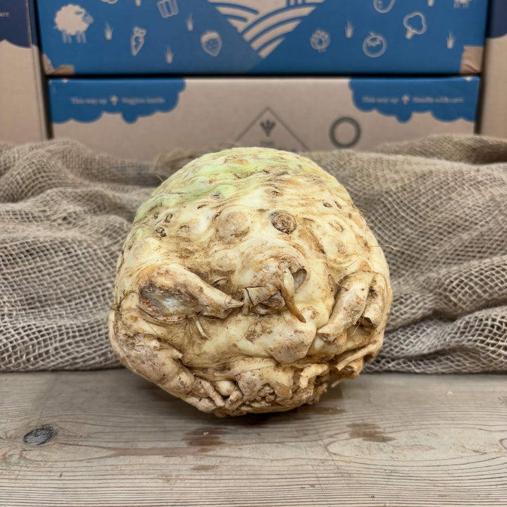 A large celeriac. 