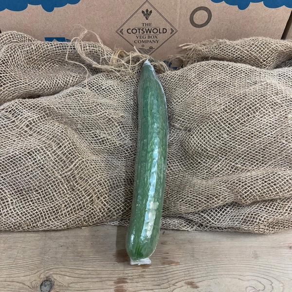 A single cucumber.