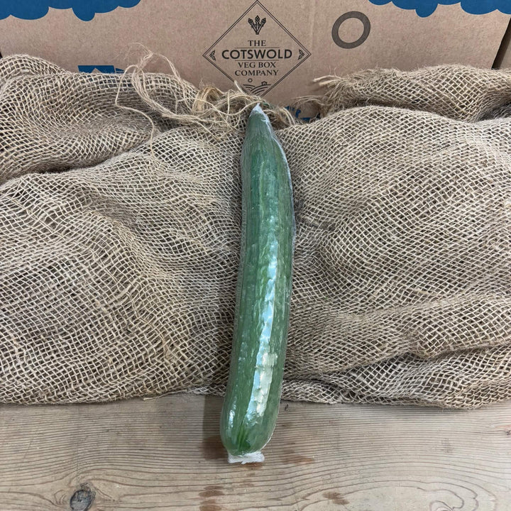 A single cucumber.