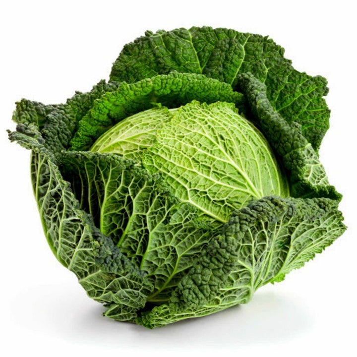 A savoy cabbage.