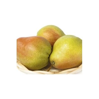 Trio of english commice pears.