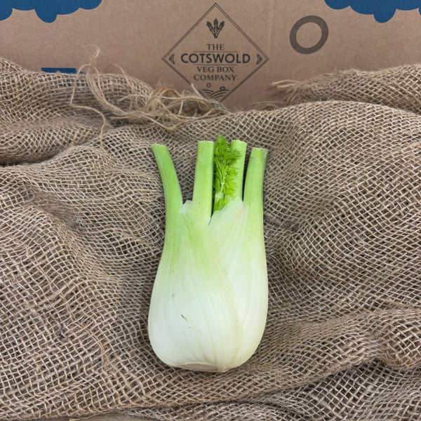 A whole fennel bulb.