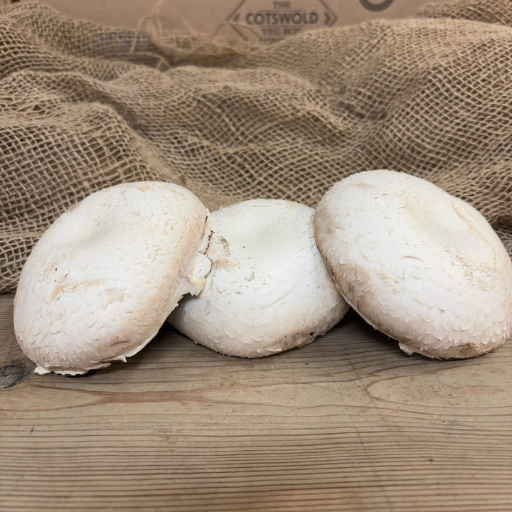 A trio of fresh flat mushrooms.