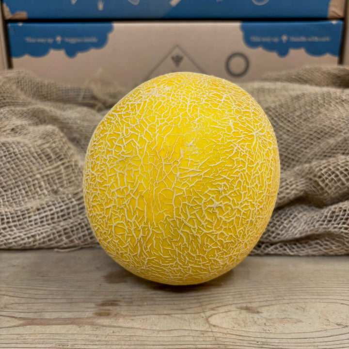 A galia melon. 