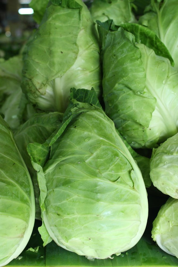 A close up of a bunch of hispy cabbages.