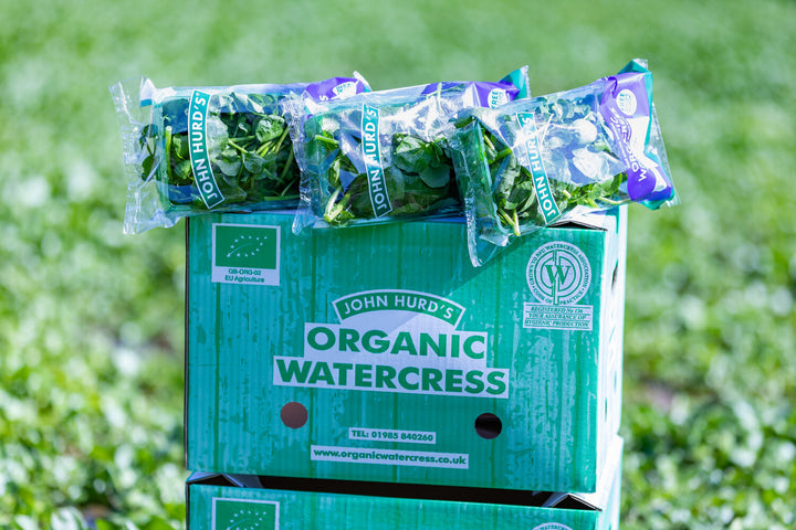 Packets of John Hurd's Organic Watercress displayed on a green branded box, set against a lush outdoor background of watercress fields.