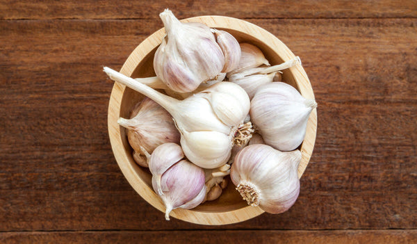 A bunch of jumbo garlic bulbs in a bowl.