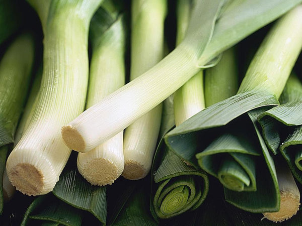 A closeup of leeks.