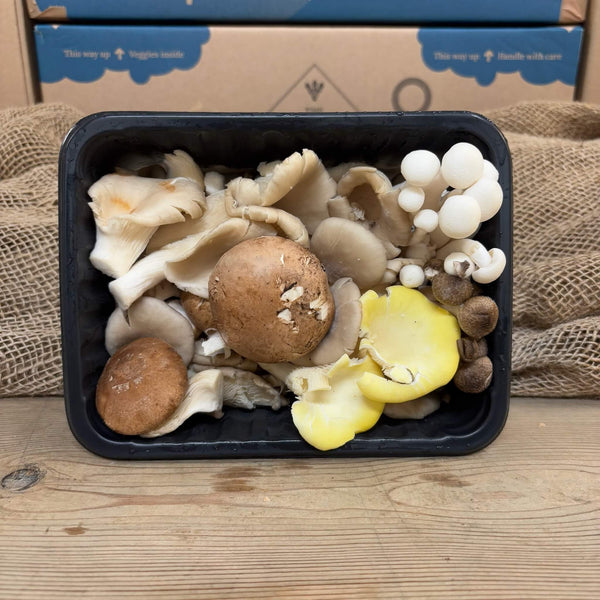 A punnet of mixed exotic mushrooms. 