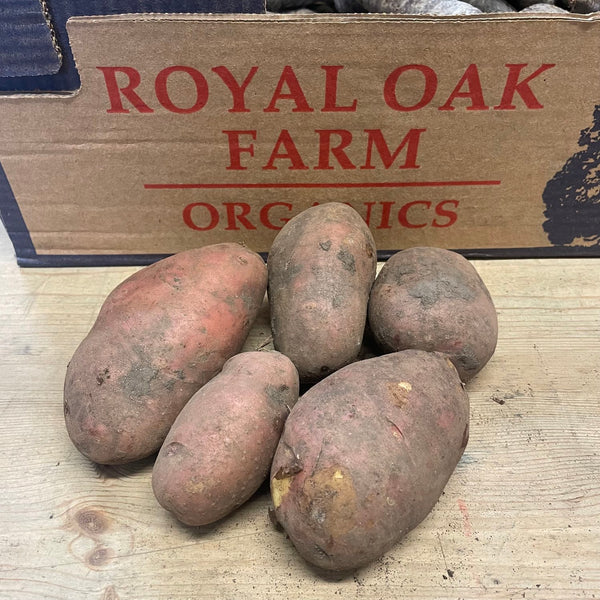 Five Organic Axona Red Potatoes.
