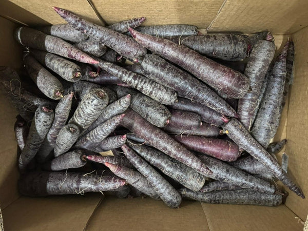 A box of organic purple carrots.