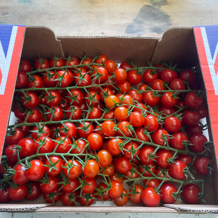 A box of piccolo vine tomatoes.