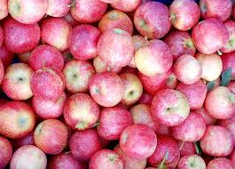 Pink Lady Apples - x6