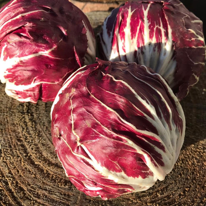 A trio of Italian Radicchio Lettuce.