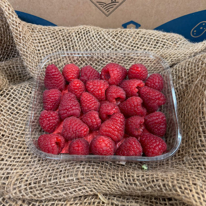 A punnet of fresh raspberries. 