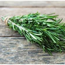 A fresh bunch of rosemary sprigs tied together with twine.