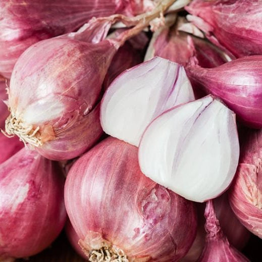 A pile of fresh round shallots with their papery pink skins, including one sliced open.