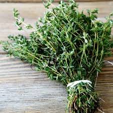 A fresh bunch of thyme tied together with twine