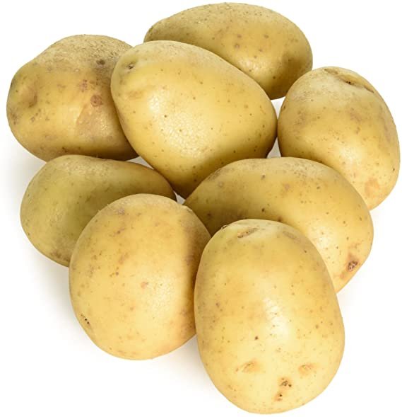 Freshly harvested Maris Piper potatoes.